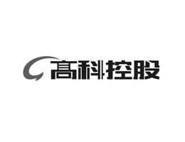高科控股集团
